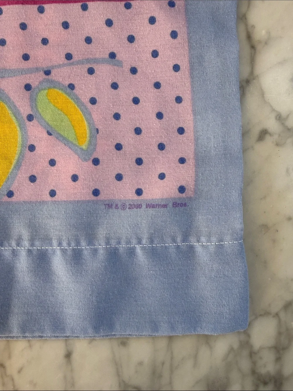 VTG Tweety Bird Pillowcase 2000 Pastel Colors
